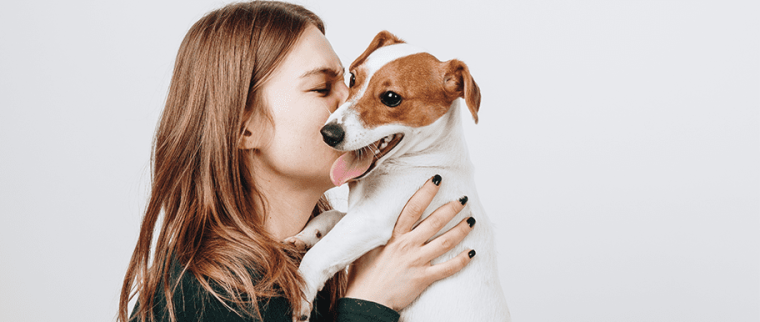 éducation du chiot